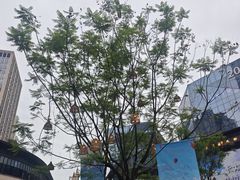 -龙湖重庆时代天街