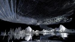 点击看大图 -三色锦婚礼定制