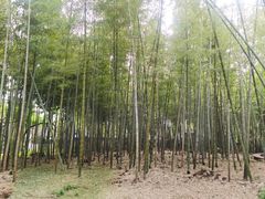 -南北湖风景区