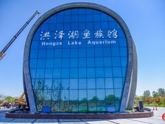 -泗洪洪泽湖湿地景区