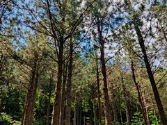 -昆嵛山石门里景区