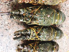 -吴淞炮台湾湿地森林公园烧烤区