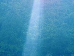 -千岛湖九龙溪漂流