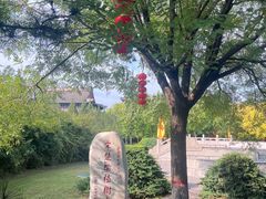 -大槐树寻根祭祖园