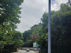 -上海佘山国家森林公园天马山园