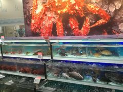 -盒马鲜生(红莲店)