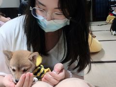 -逗柴咖啡屋·狗咖猫咖宠物桌游