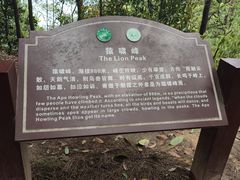 -缙云山景区