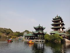 -桂湖森林公园