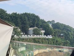 -南山植物园