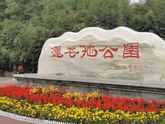 -莲花池公园