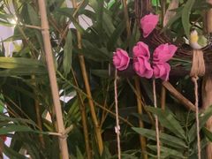 -施奈儿.洗头頭療.按摩SPA.采耳(上梅林店)