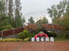 -上海长兴岛郊野公园