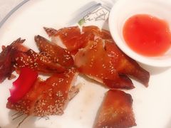 -百姓渔村(南中环店)