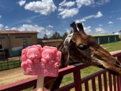 -鄂尔多斯野生动物园