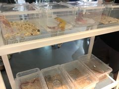 -乌龙爬宠部落(信和购物广场店)