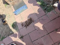 -西部长青自然儿童乐园