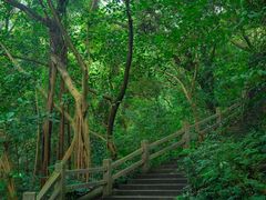 -广州市白云山风景名胜区