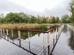 -同里国家湿地公园