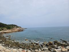 -广东惠东海龟国家级自然保护区