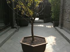 -成都观隐颐云台酒店-芳菲秀