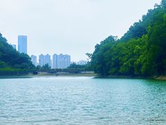 -桃花岭景区