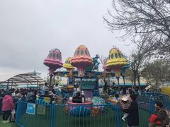 -秦皇岛乐岛海洋王国