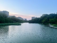 -金山公园