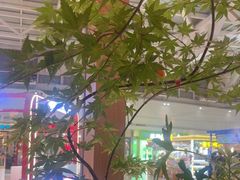 -周家二小姐的菜·扬州菜·香炒蟹·狮子头(江都金鹰店)