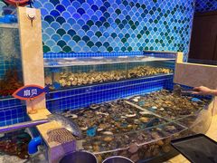 -乔哥铭洋海鲜自助(皇城恒隆广场店)