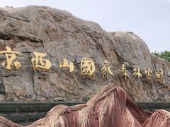 -北京西山国家森林公园