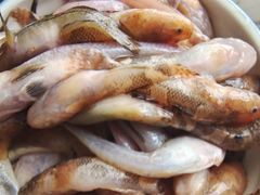 -青岛沙子口国家中心渔港