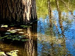 -东郊湿地公园