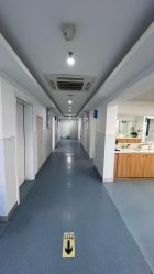 -温州伯思立医院