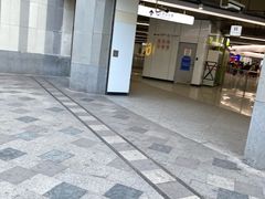 -东方体育中心(地铁站)