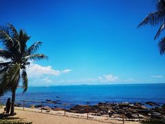 -小海豚•老字号海鲜餐厅(天涯店)