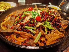 -老板恋上鱼(高新万达店)