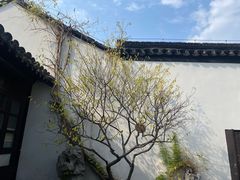 -南京市民俗博物馆(甘熙故居)
