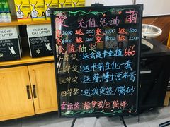 -美联众合宠物医院·爱萌分院·内外科·猫科中心
