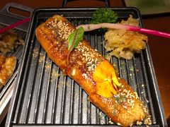 烤活鳗鱼-鳗鱼家·深夜食堂(军博店)