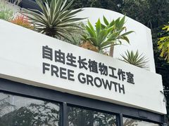 -自由生长植物工作室(深港花卉中心店)