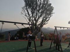 -铁山坪森林公园