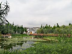-才村湿地公园