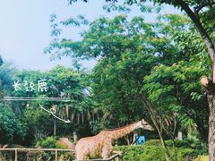 -南昌动物园