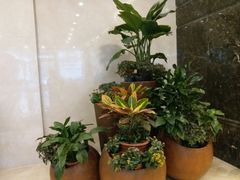 -百姓康洁洗浴中心