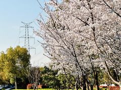 -外高桥保税区南(地铁站)