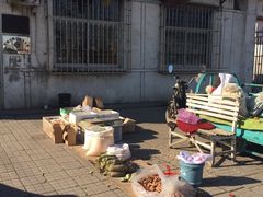 -大韩庄韩氏祖传正骨