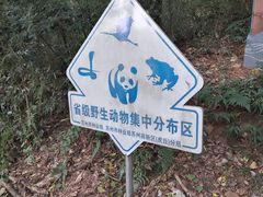 -苏州上方山国家森林公园