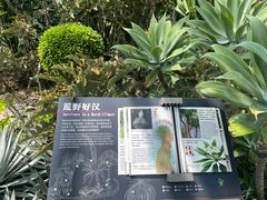 -深圳仙湖植物园