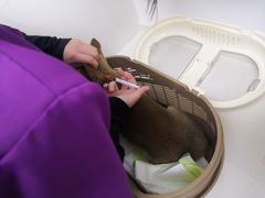 -关爱宠物医院·猫科中心·消化科(滨湖万达分院)